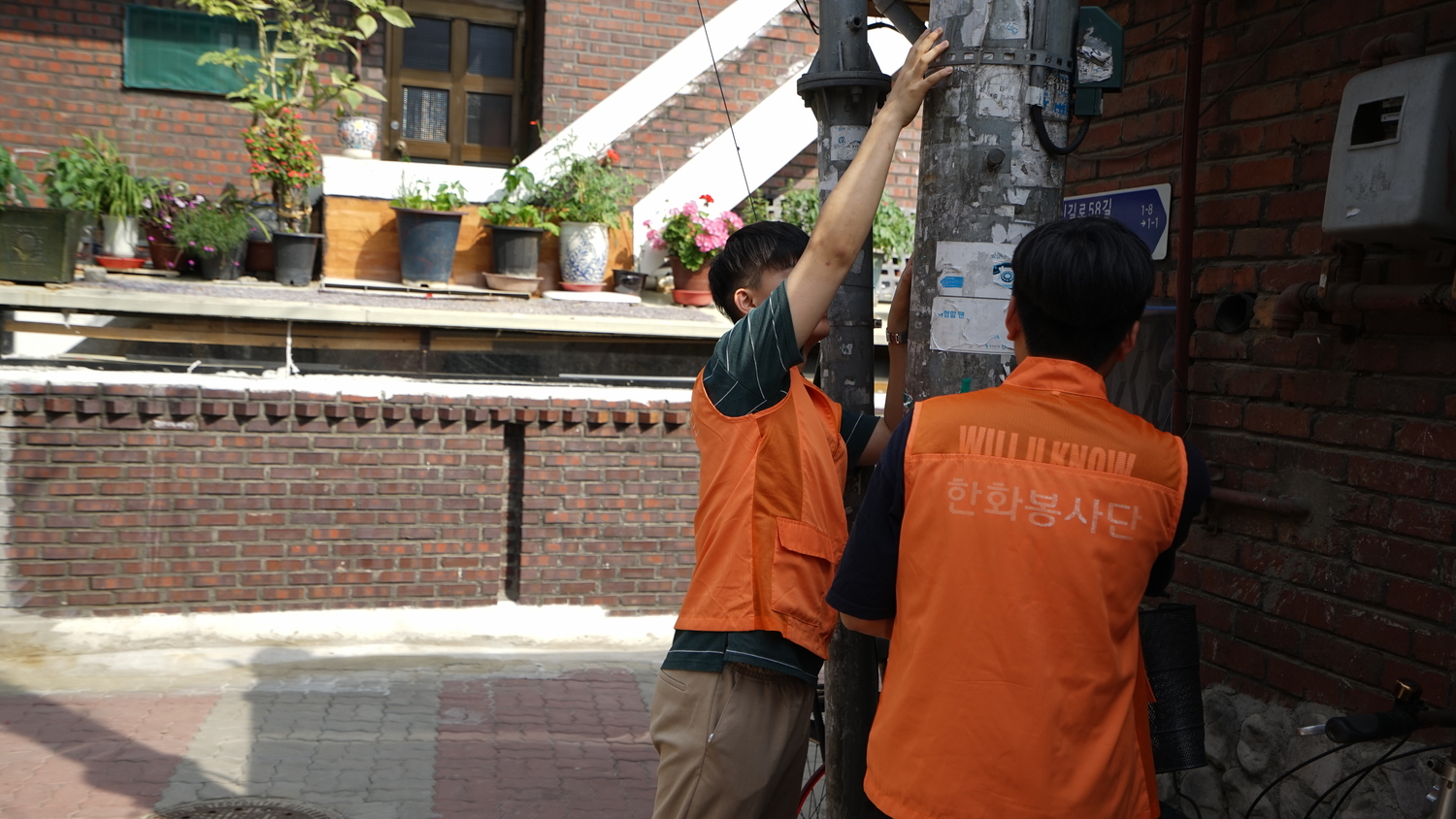 Green Light 이미지 3