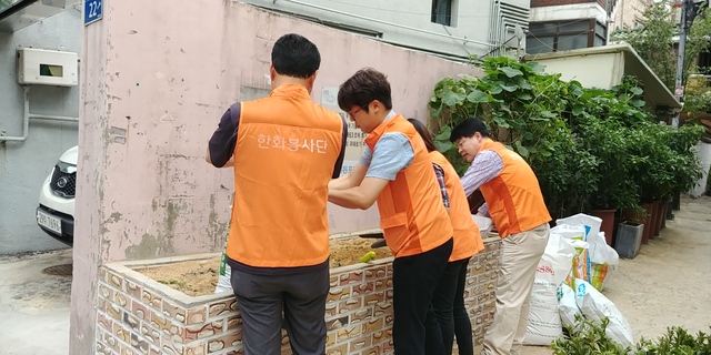 사랑이 꽃피는 동네 이미지 1