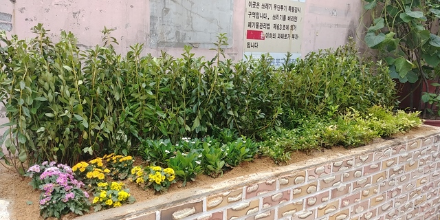 사랑이 꽃피는 동네 이미지 6